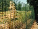 Сварной забор из сетки
